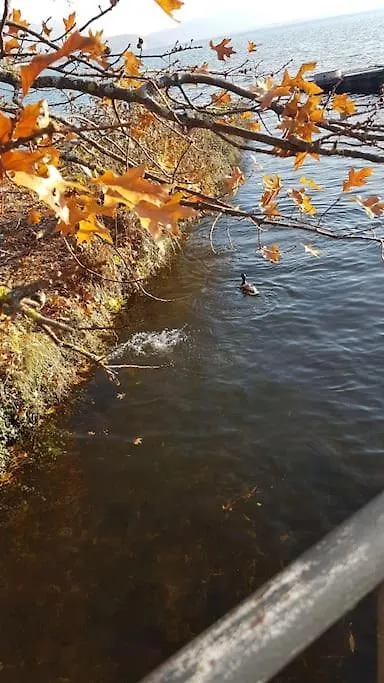 Magnifique Apt A Deux Pas Du Lac Et Pres Du Centre Annecy Lägenhet