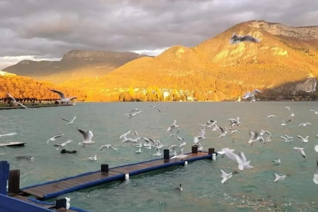 Magnifique Apt A Deux Pas Du Lac Et Pres Du Centre Annecy Apartment