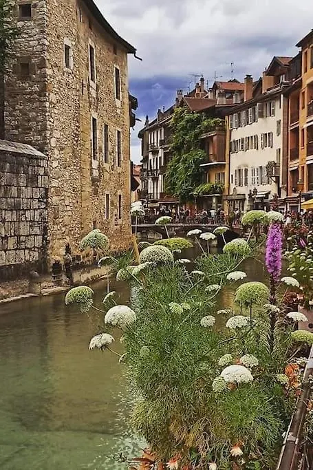 Apartment Magnifique Apt A Deux Pas Du Lac Et Pres Du Centre Annecy