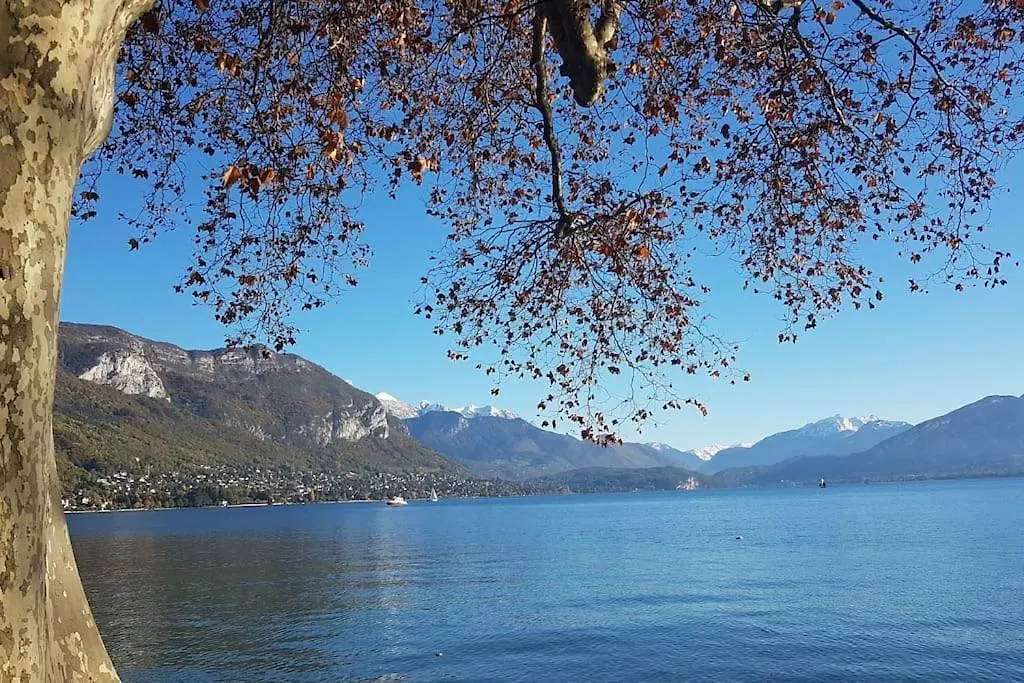Magnifique Apt A Deux Pas Du Lac Et Pres Du Centre Annecy